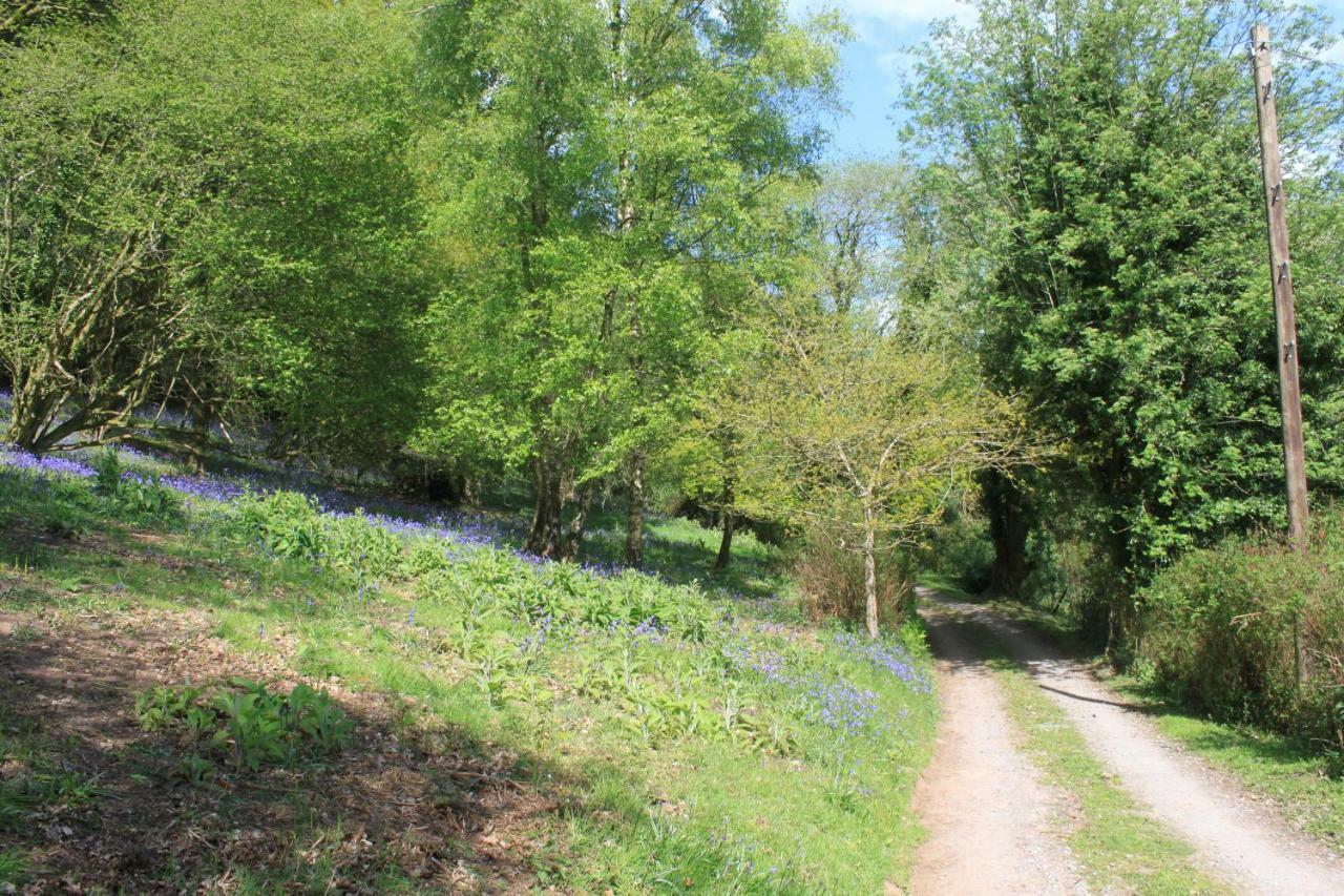 Church Hill Farm Monmouth Esterno foto