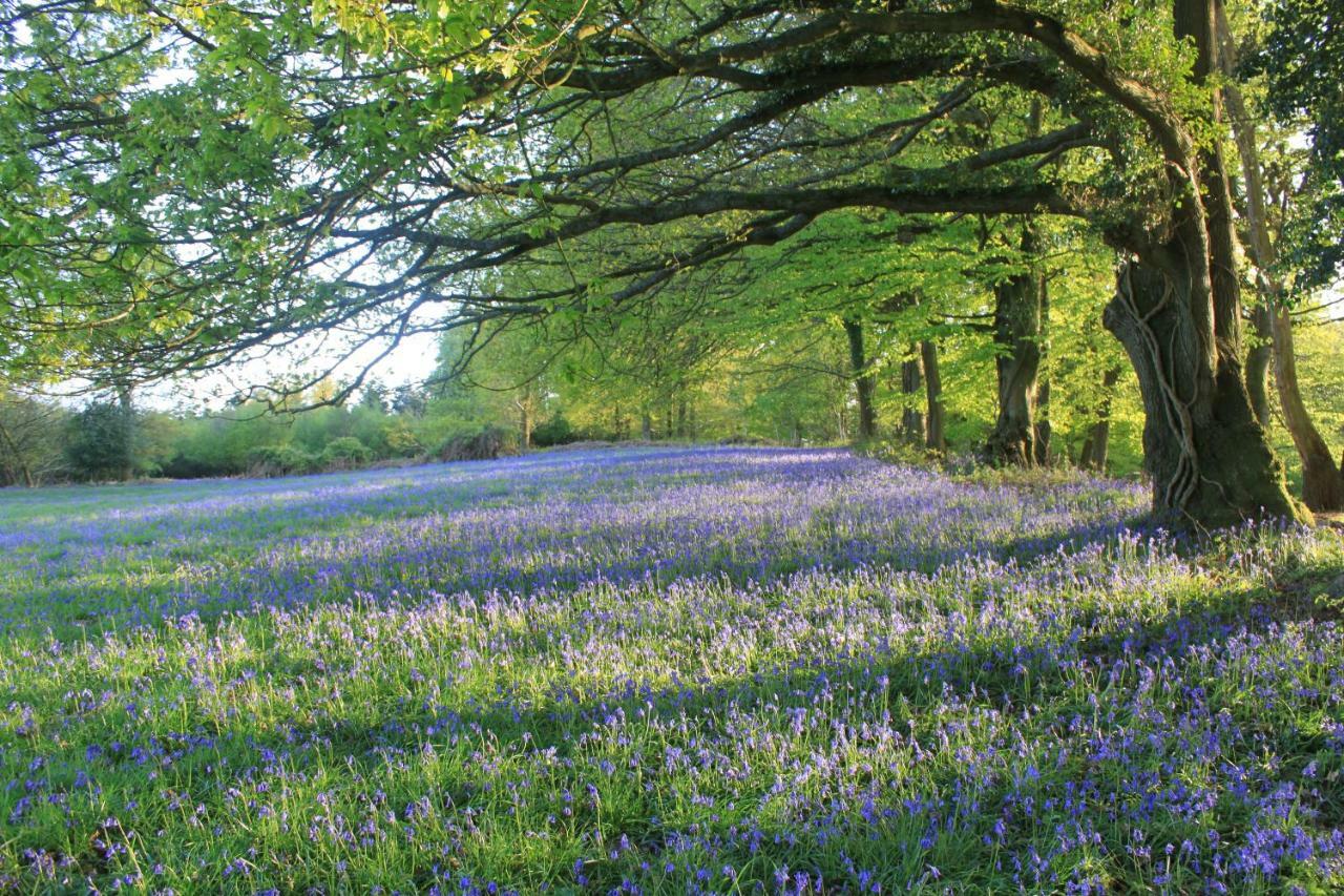 Church Hill Farm Monmouth Esterno foto
